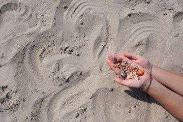 Hands filled with shells on a sand background