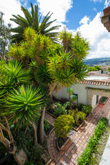 Fototapeta na wymiar Tunja tropical public garden from above