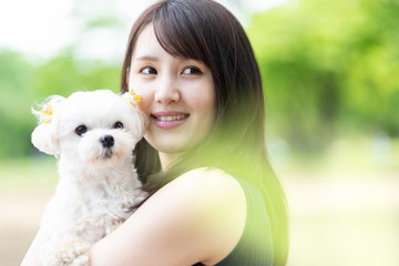 マルチーズ　ペットイメージ