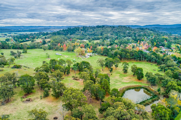 Fototapeta na wymiar Rural area with trees and grasslands in Victoria, Australia - aerial landscape