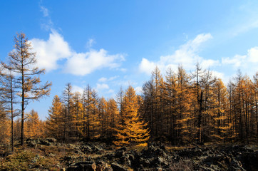 Alshan has unique geological features