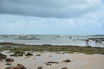 morro sp - bahaia