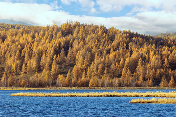 Beautiful autumn scenery of rhododendron lake
