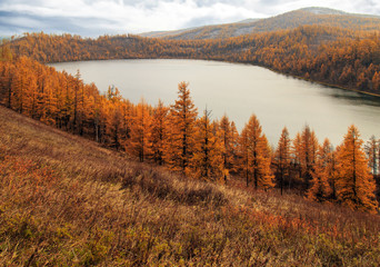 Autumn scenery of tianchi lake in alshan