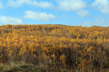 Beautiful scenery of xilingol grassland