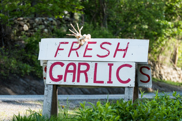 Litchfield, Connecticut, USA Fresh garlic for sale by the side of the road.
