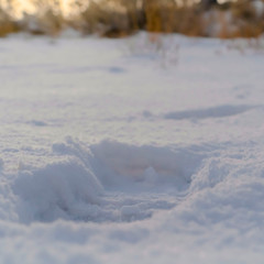 Square Close up of a footprint impressed on the powdery white snow covering the ground