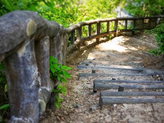 自然の中にある木製の階段と手すり
