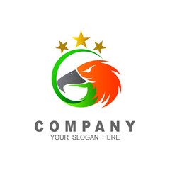 falcon or hawk vector design template, eagle logo,star and circle