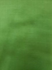 Shades of green vintage fabric used for a backdrop