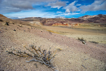 Вид на марс1