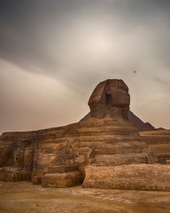 Fototapeta na wymiar The Great Sphinx of Giza against a moody sky with clear head image and a crow against sky for scale