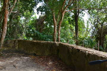 morro de -sp - bahia 