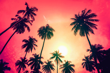 Fototapeta na wymiar Silhouette coconut palm trees with sunset and flare sky background.