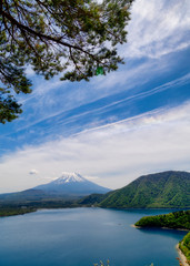 Naklejka na ściany i meble 本栖湖　湖畔からの富士山