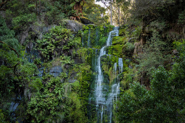 Erskine Falls, near Lorne, Victoria, Australia