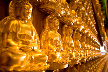 Golden Buddha statue chinese style in thailand