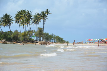 morro sp - bahia 