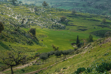 Jordan spring, Irbid, Alkoorah district.