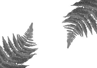 Naklejka premium 植物