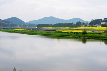 Fototapeta premium scenery of the town south of the Yangtze River in spring