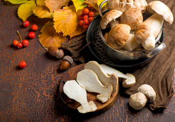 Harvested wild boletus mushrooms on wooden