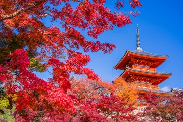 Foto op geborsteld aluminium Kyoto Herfstbladeren van de Kiyomizu-dera-tempel in Kyoto