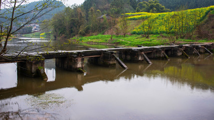 Obraz premium scenery of the town south of the Yangtze River in spring
