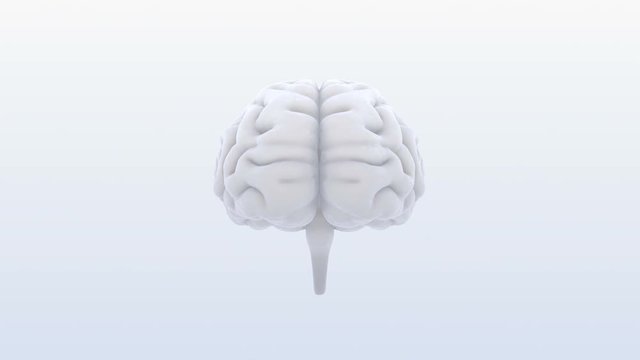 Brain head mind image background.