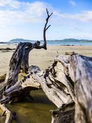 Plage de Tamarindo au Costa Rica
