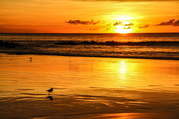 Magnifique couché de soleil sur une plage du Costa Rica