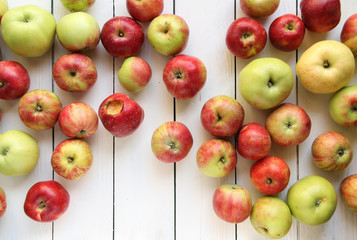 Apfel Äpfel Bio Fallobst biologisch Obstbau Obst