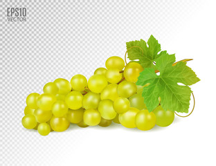 Bunch of yellow or green grapes with vine leaves isolated on transparent background. Cluster of grape. Realistic, fresh, natural food, dessert. 3d vector illustration for agriculture design.