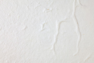 White Mulberry paper background.