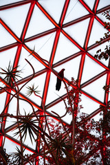 bird on tree abstract