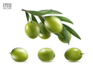 Green olives and leaves set isolated on white background as package design element. Photo-realistic vector, 3d
