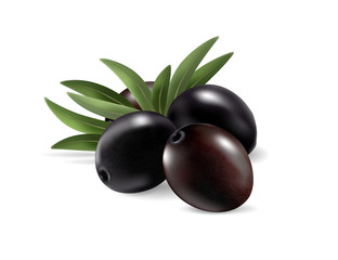 Black olives with leaves. Photo-realistic vector, 3d