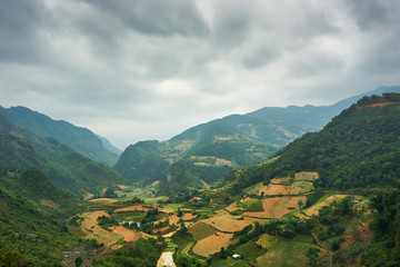 Fototapeta na wymiar Rice fields at the Mountain of north Vietnam. Beautiful landscape view on the Ha Giang loop . Motorbike trip
