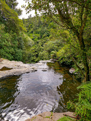 Obraz premium scenic Kaituna River, Rotorua in the tropical forest in New Zealand