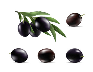 Black olives set isolated. Photo-realistic vector, 3d