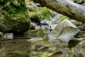 Waldfrieden