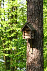 Birdhouse on a tree in the park in spring, birdhouse handmade for birds.