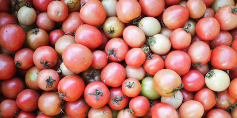 red tomato in the market