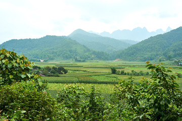 Fototapeta na wymiar Mountain landscape north Vietnam. Beautiful view on the Ha Giang loop on the north of Vietnam. Motorbike trip