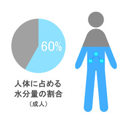 人体に占める水分量の割合