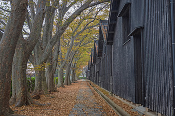 山居倉庫の秋景色