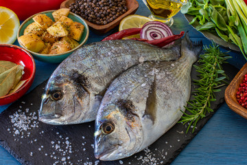Sea bream ( gilt head ) on the black stone