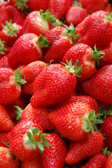 Ripe strawberry harvest close up