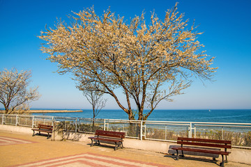 Ustka, Poland with beach promenade in spring