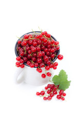 White cup with red currant berry in it and small bunch of red currant with green leaf  isolated on white..